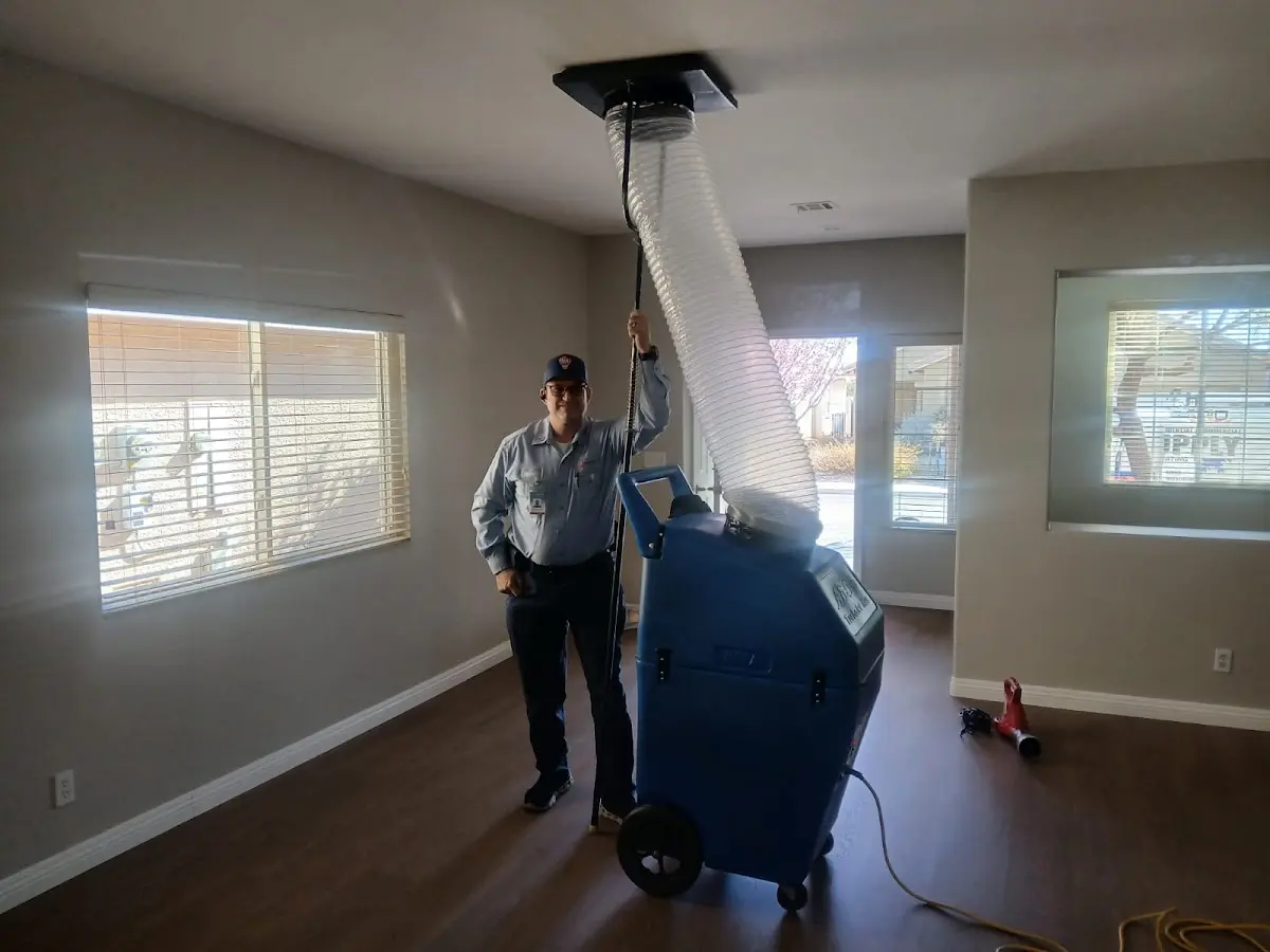 Professional Dryer Vent Cleaning work inside a Kensington home